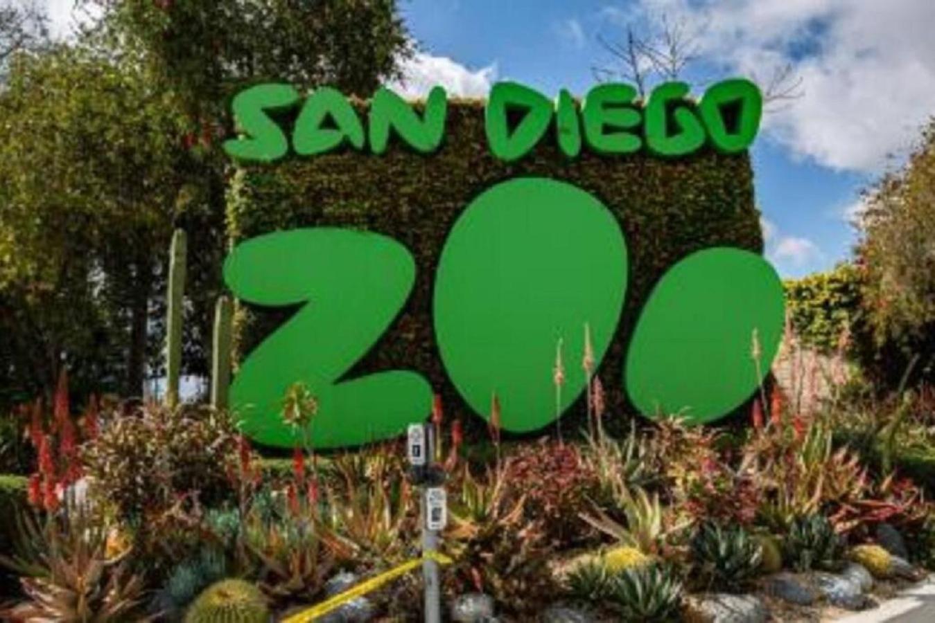 San Diegos Zoo, Seaworld And Downtown Nearby * San Diego
